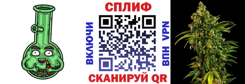 Конопля гибрид Кашира